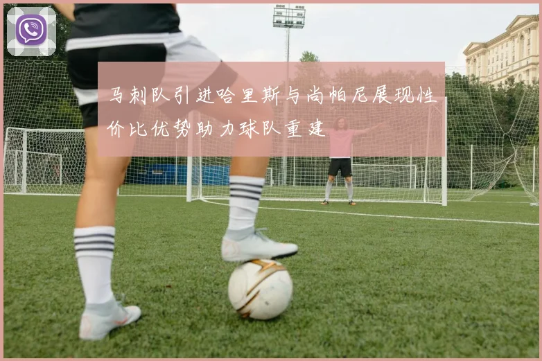 马刺队引进哈里斯与尚帕尼展现性价比优势助力球队重建